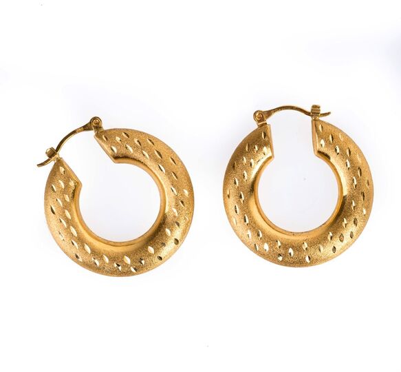 A Pair of Gold Earrings