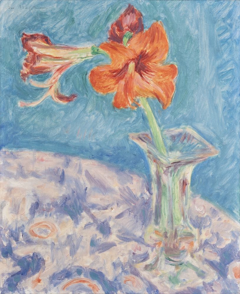 Amaryllis in einer Vase