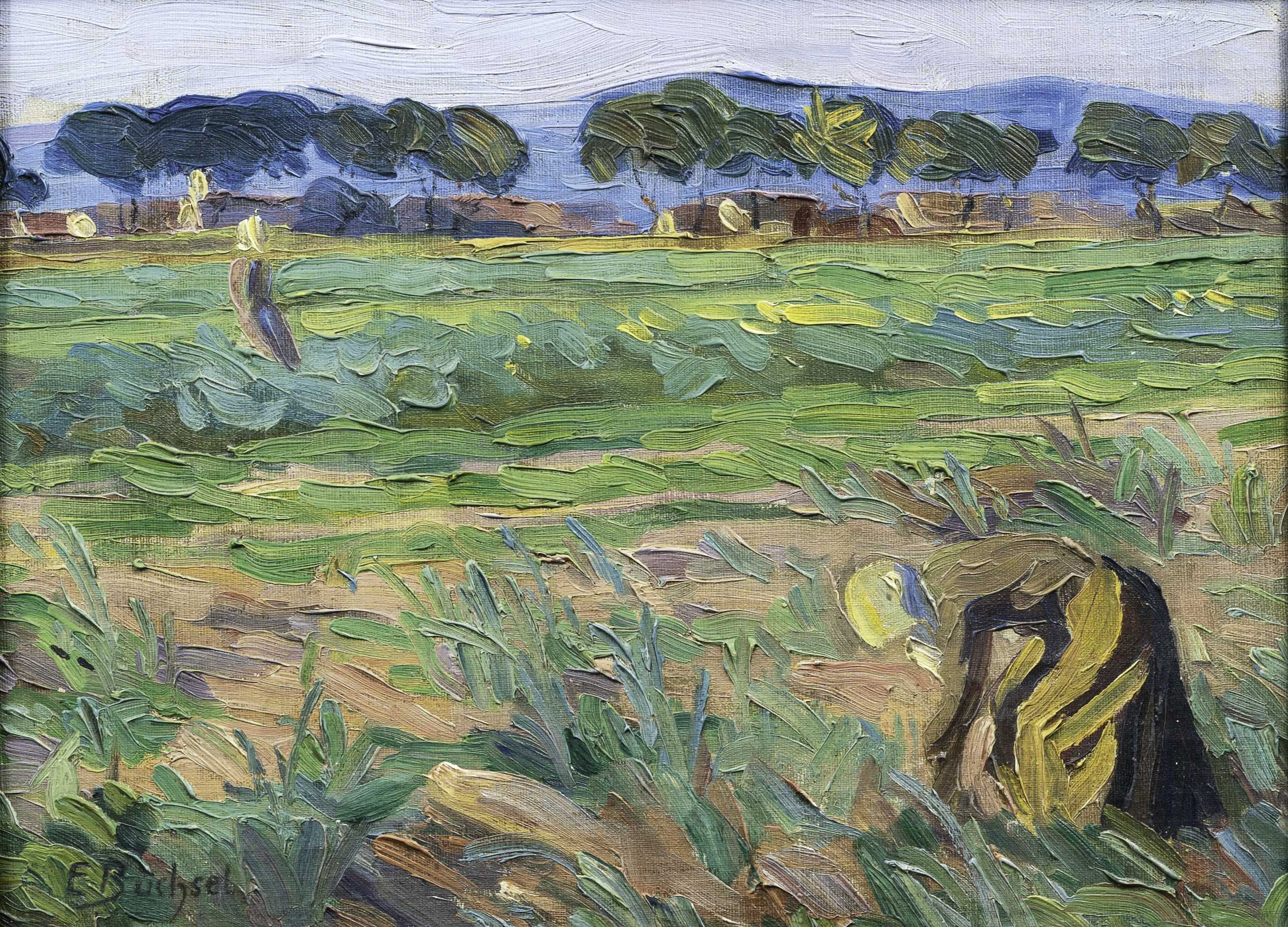 Auf dem Feld