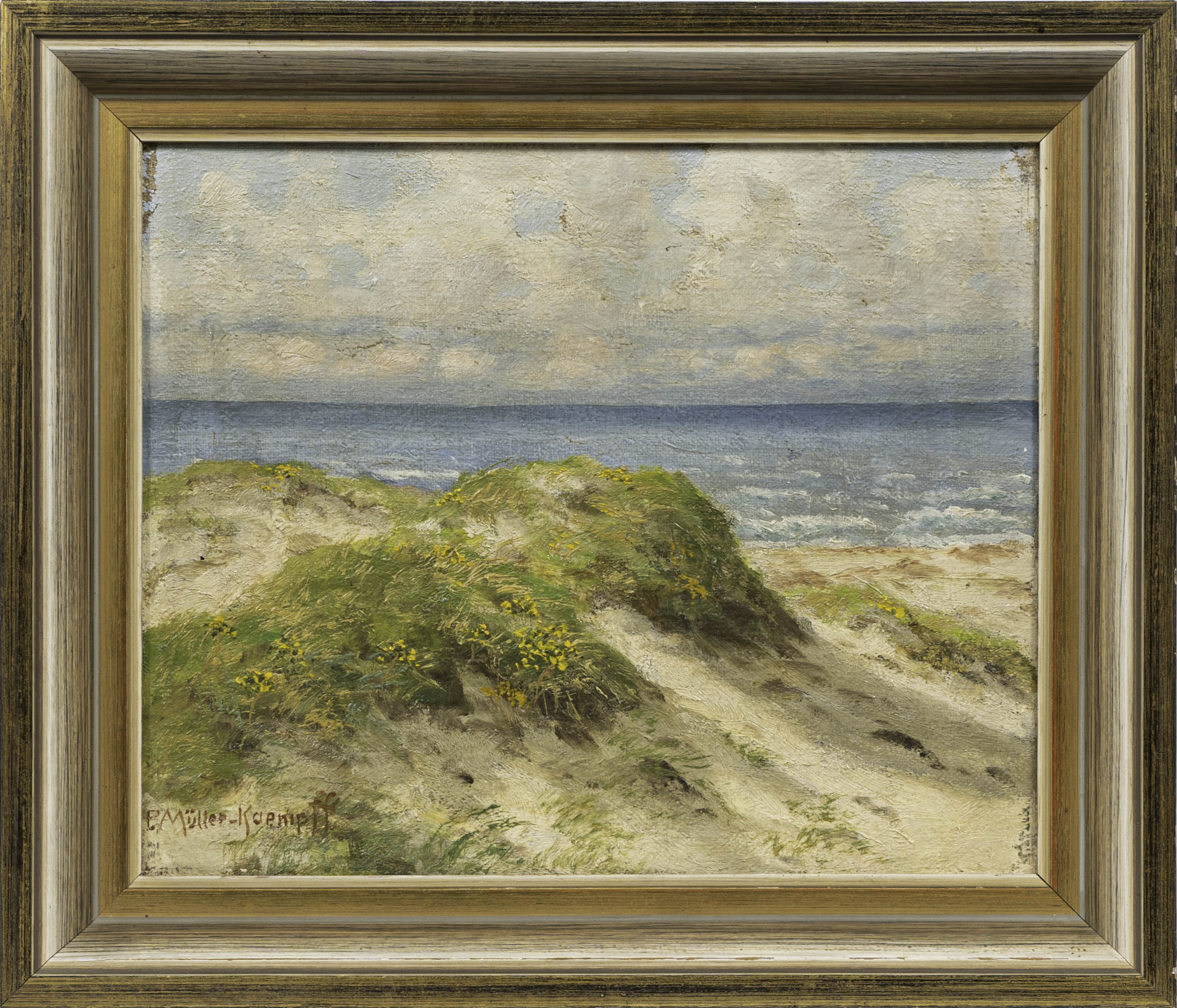 Dunes and Baltic Sea - image 2