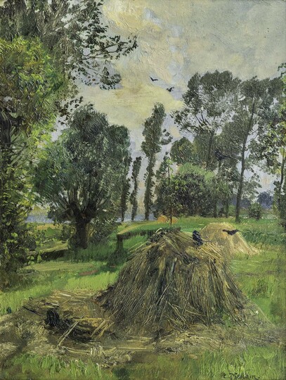 Summer Landscape