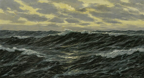 Open Waters - image 1