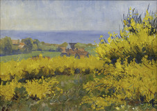 Hiddensee in Bloom - image 1