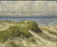 Dunes and Baltic Sea - image 1