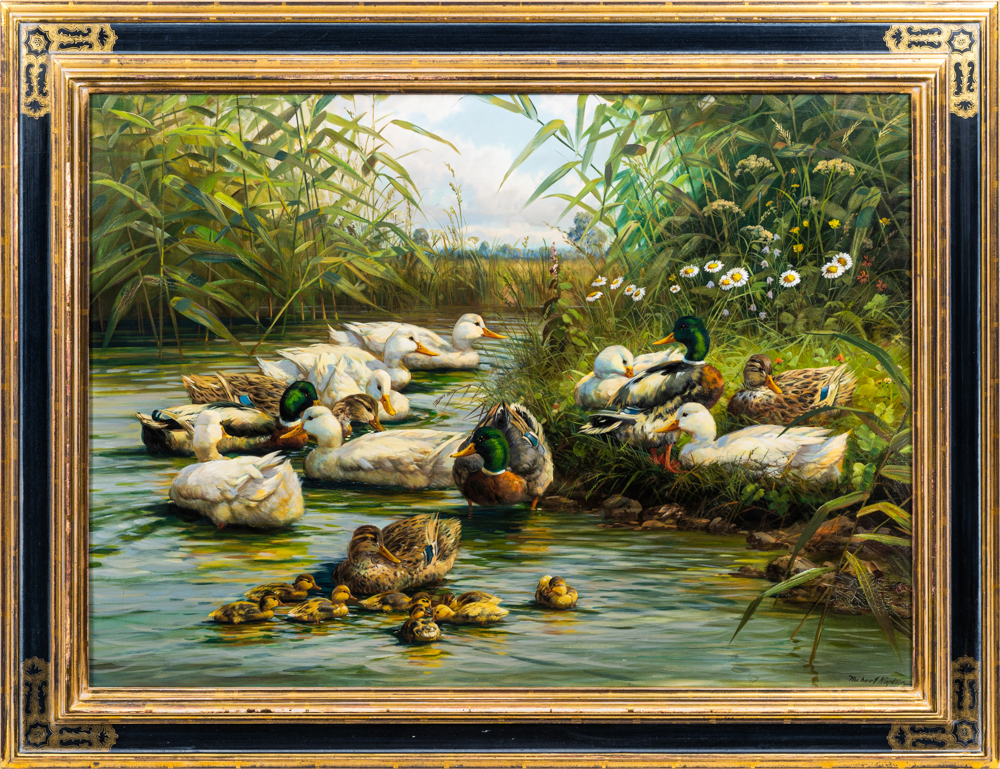 Ducks - image 2