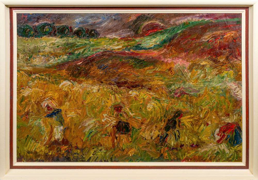 Harvest Fields - image 2