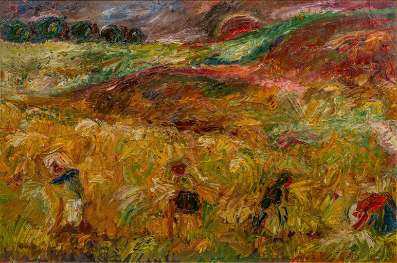 Harvest Fields