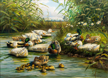 Ducks - image 1