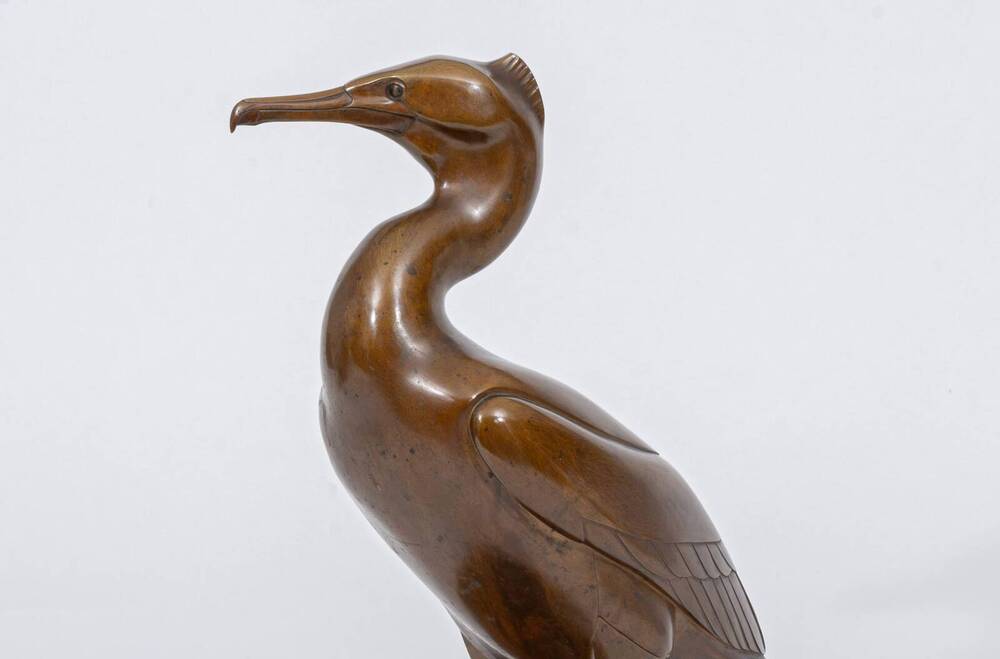 Kormoran